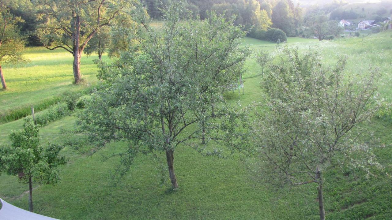 Apartma Natura Bled Kültér fotó
