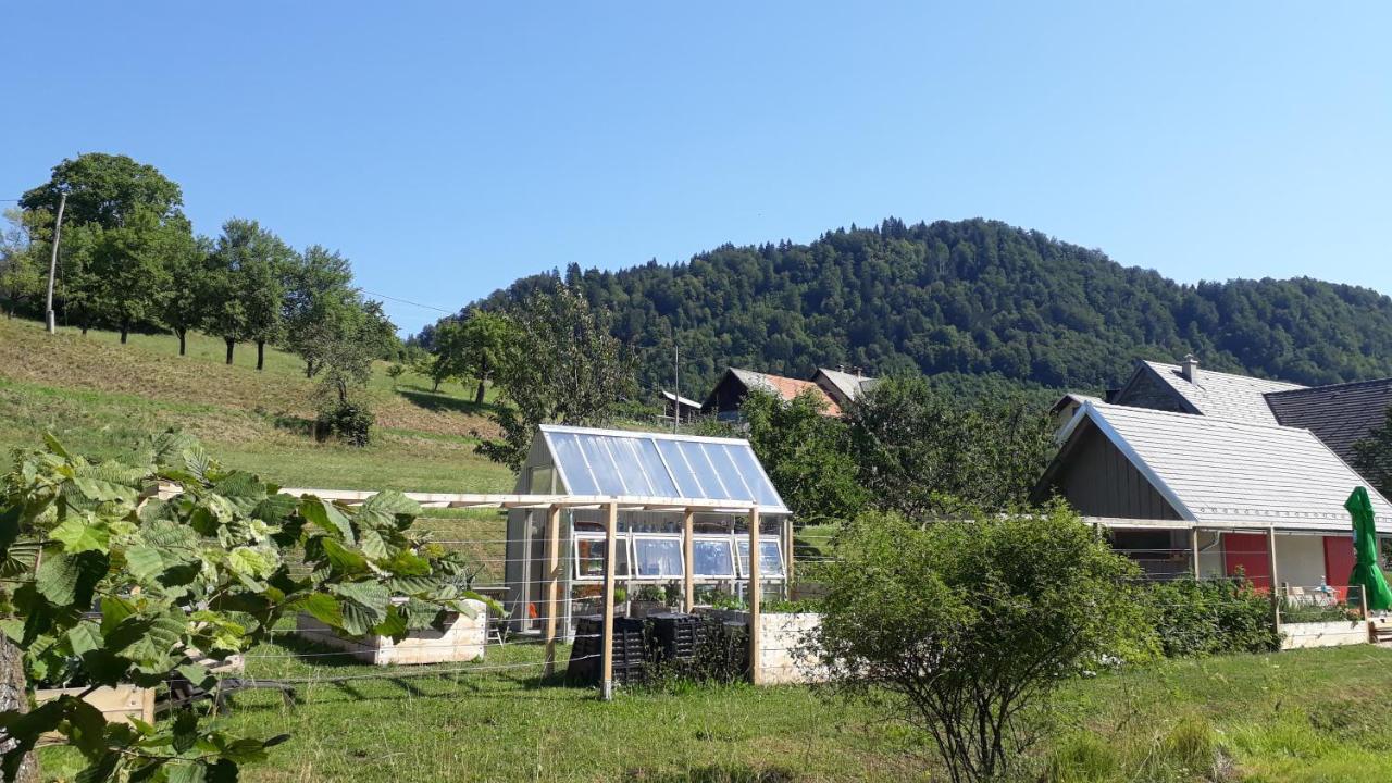 Apartma Natura Bled Kültér fotó