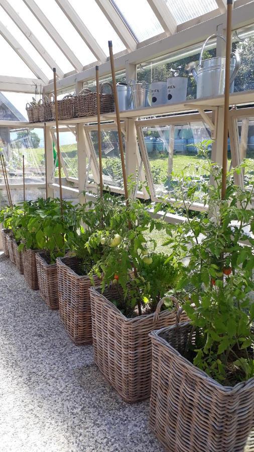 Apartma Natura Bled Kültér fotó
